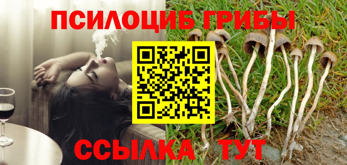 Псилоцибиновые грибы мицелий Вязники