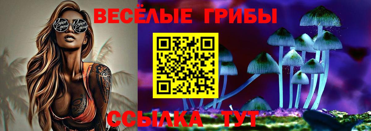 Вязники  купить закладку  Вход с VPN  Псилоцибиновые грибы Magic Shrooms 